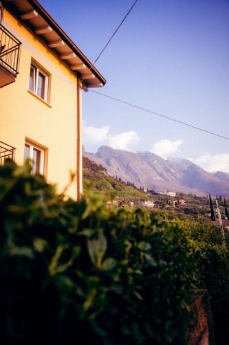 2025_Garda42-02531
