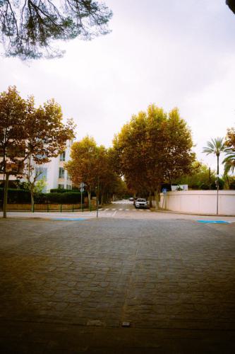 DSC00037