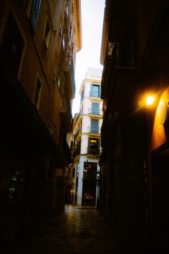 DSC00222