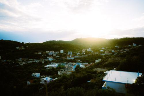 DSC08396